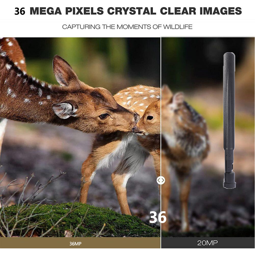 HC-801pro outdoor hunting came - Outdoor Hunting Pictures incelemesi ve fiyatı