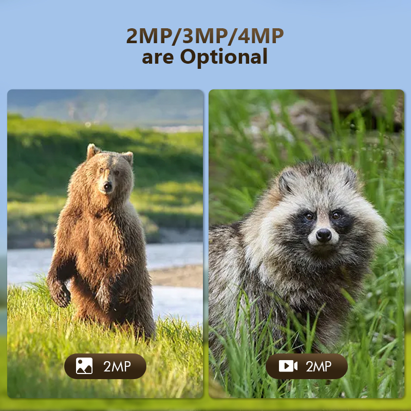 4G 4MP Outdoor Wildlife Huntin - Hunting Outdoor Game incelemesi ve fiyatı